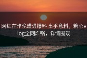 网红在昨晚遭遇爆料 出乎意料，糖心vlog全网炸锅，详情围观