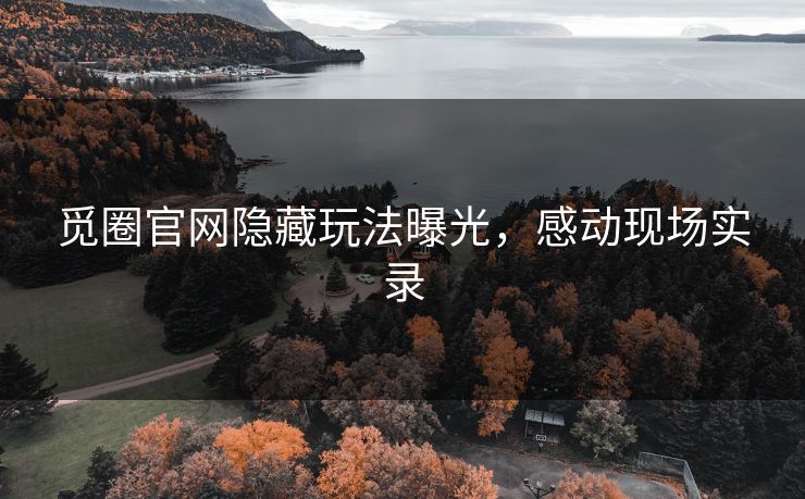 觅圈官网隐藏玩法曝光，感动现场实录