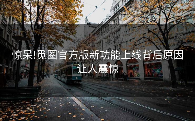 惊呆!觅圈官方版新功能上线背后原因让人震惊