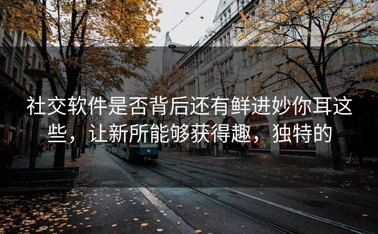 社交软件是否背后还有鲜进妙你耳这些，让新所能够获得趣，独特的