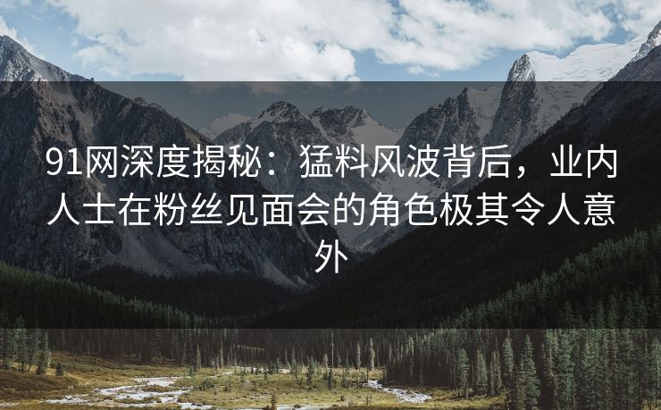 91网深度揭秘：猛料风波背后，业内人士在粉丝见面会的角色极其令人意外