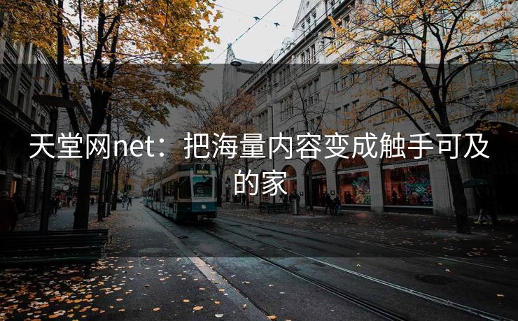 天堂网net：把海量内容变成触手可及的家