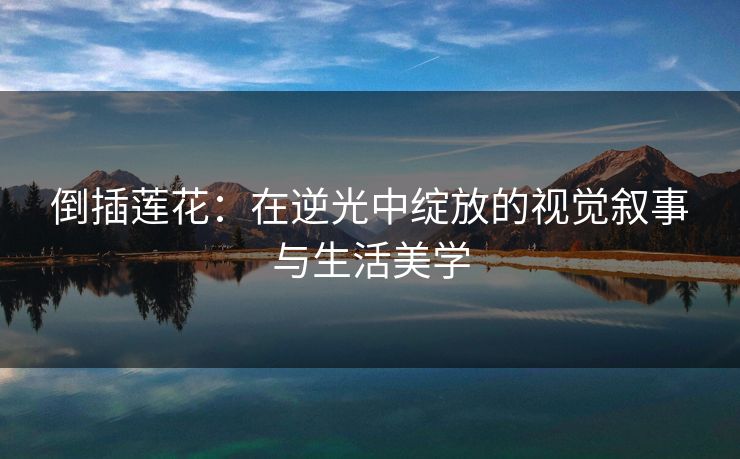 倒插莲花：在逆光中绽放的视觉叙事与生活美学