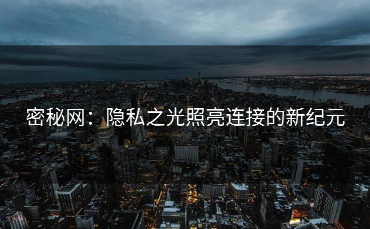 密秘网：隐私之光照亮连接的新纪元