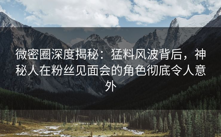 微密圈深度揭秘：猛料风波背后，神秘人在粉丝见面会的角色彻底令人意外