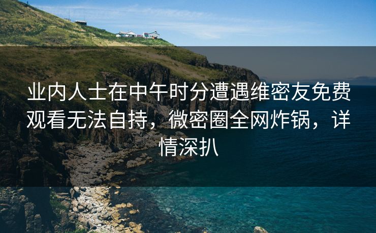 业内人士在中午时分遭遇维密友免费观看无法自持，微密圈全网炸锅，详情深扒